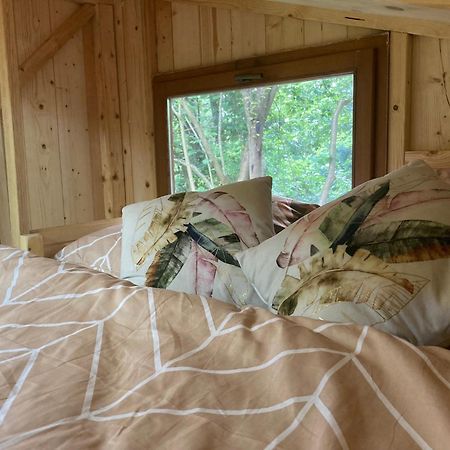 Tiny Resort Chotevice 1 Kottwitz Zewnętrze zdjęcie
