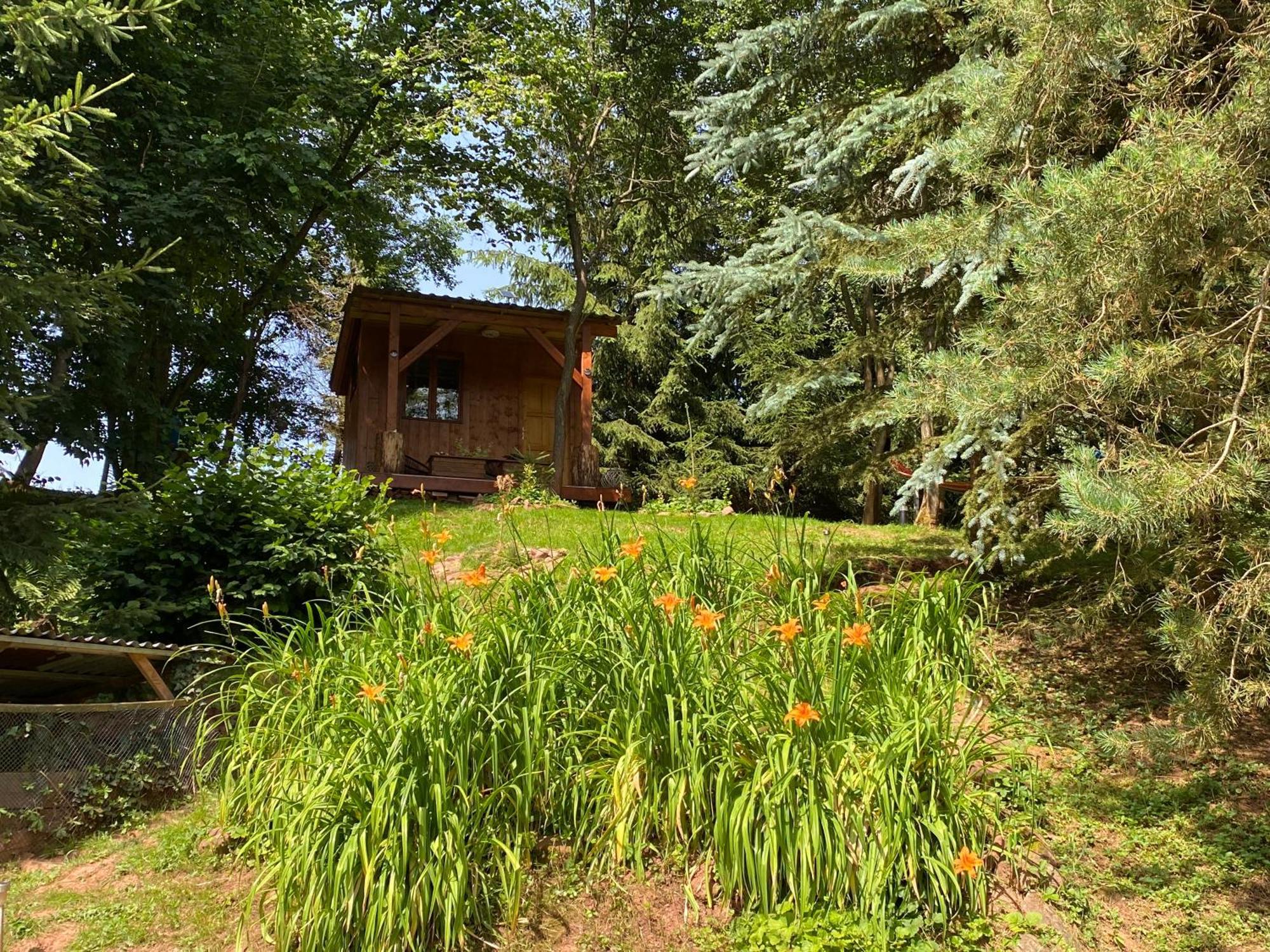 Tiny Resort Chotevice 1 Kottwitz Zewnętrze zdjęcie